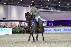 Isabella-Stagg-Quite-A-Compliment_WORKING-HUNTER-TYPE-CHAMPIONS-1.jpg