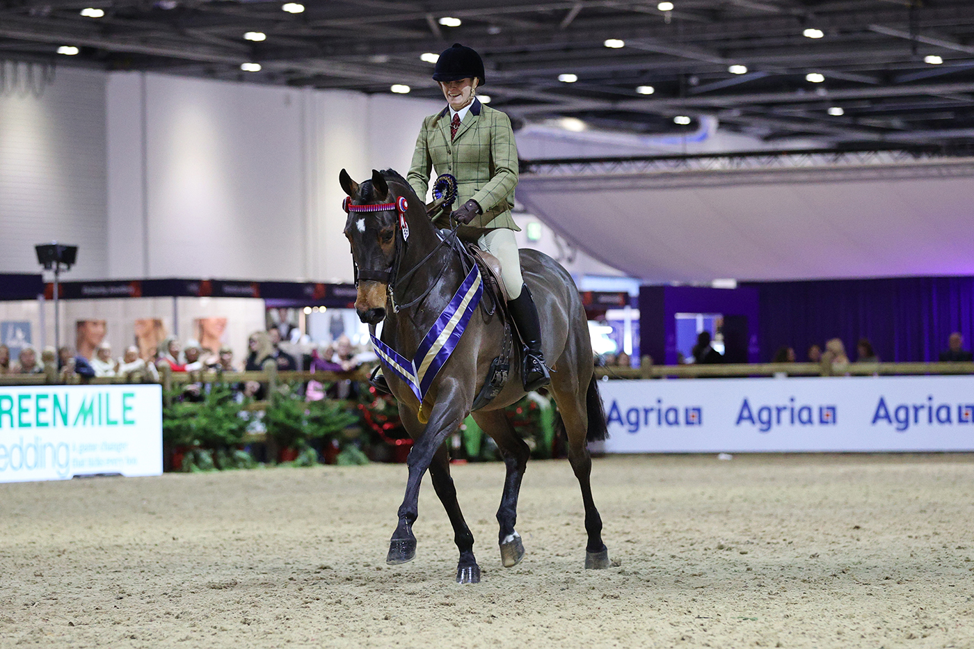 Isabella-Stagg-Quite-A-Compliment_WORKING-HUNTER-TYPE-CHAMPIONS-1.jpg