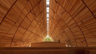 Gabriela Carrillo roof interior in timber