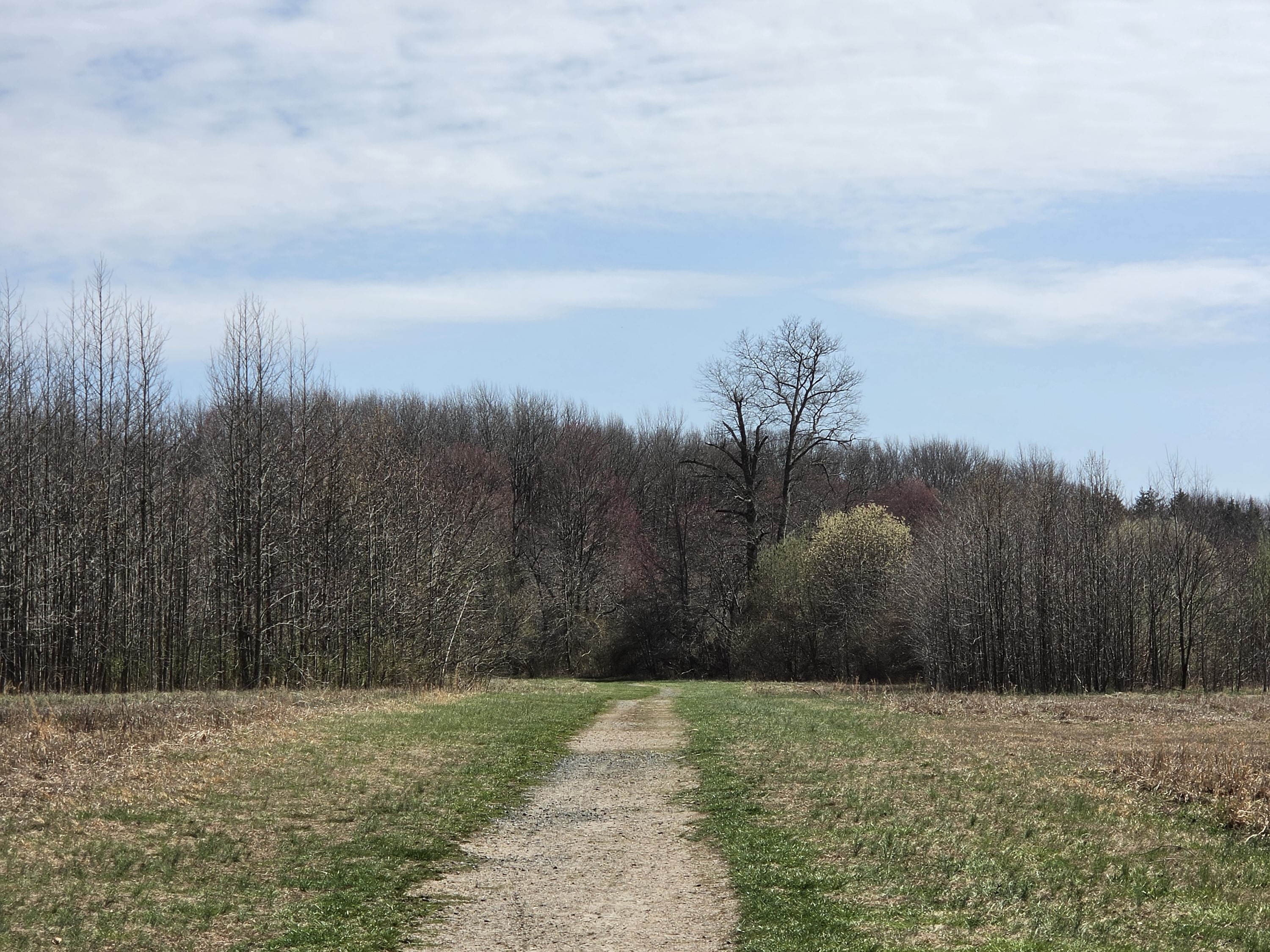 Samsung Galaxy S26 Plus Review Camera Samples