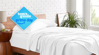 Bare Home organic cotton sheet on the bed in a brightly lit room