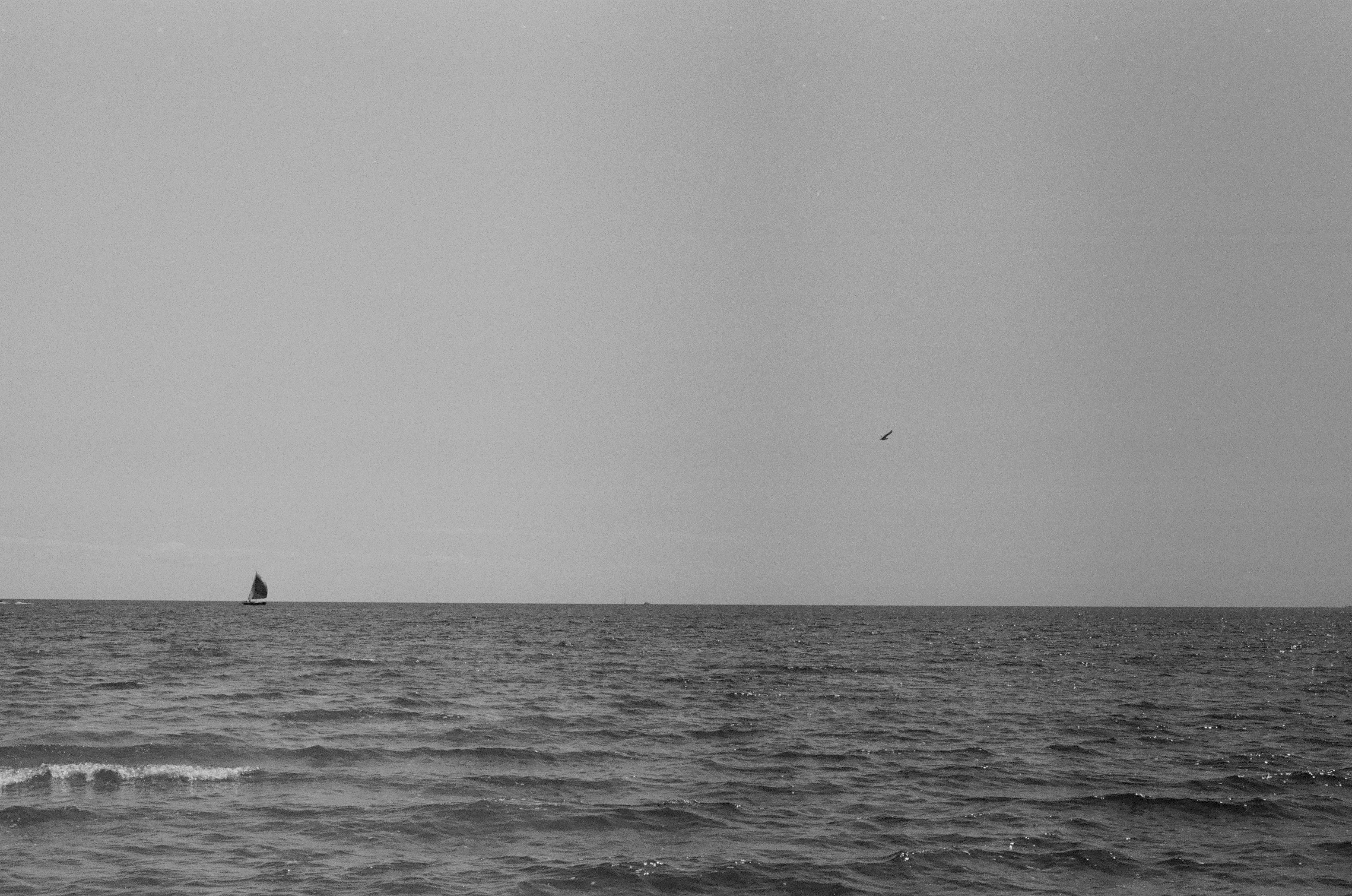 A black and white photograph taken with the Pentax K1000