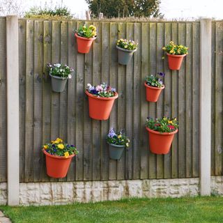 potted plants hanging on wall