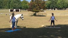 Yoga-with-horses-1.jpg