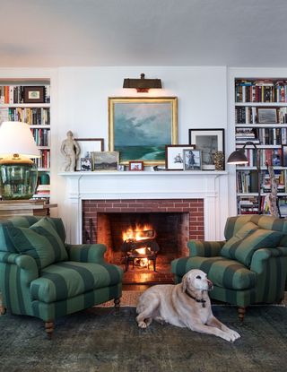 living room with fire lit and dog with green armchairs