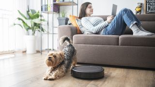 Best iRobot Roomba vacuums