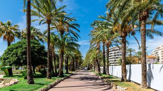 walking path in South of France