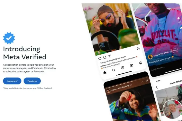 Meta Verified Website