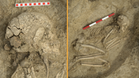 A photo of the found skeletal remains in the dirt. The skeleton is lying on its left side, in the fetal position.