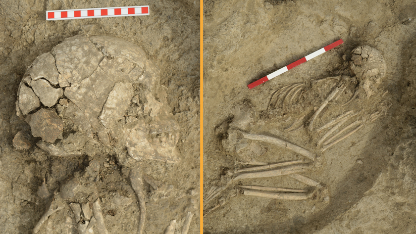 A photo of the found skeletal remains in the dirt. The skeleton is lying on its left side, in the fetal position. 