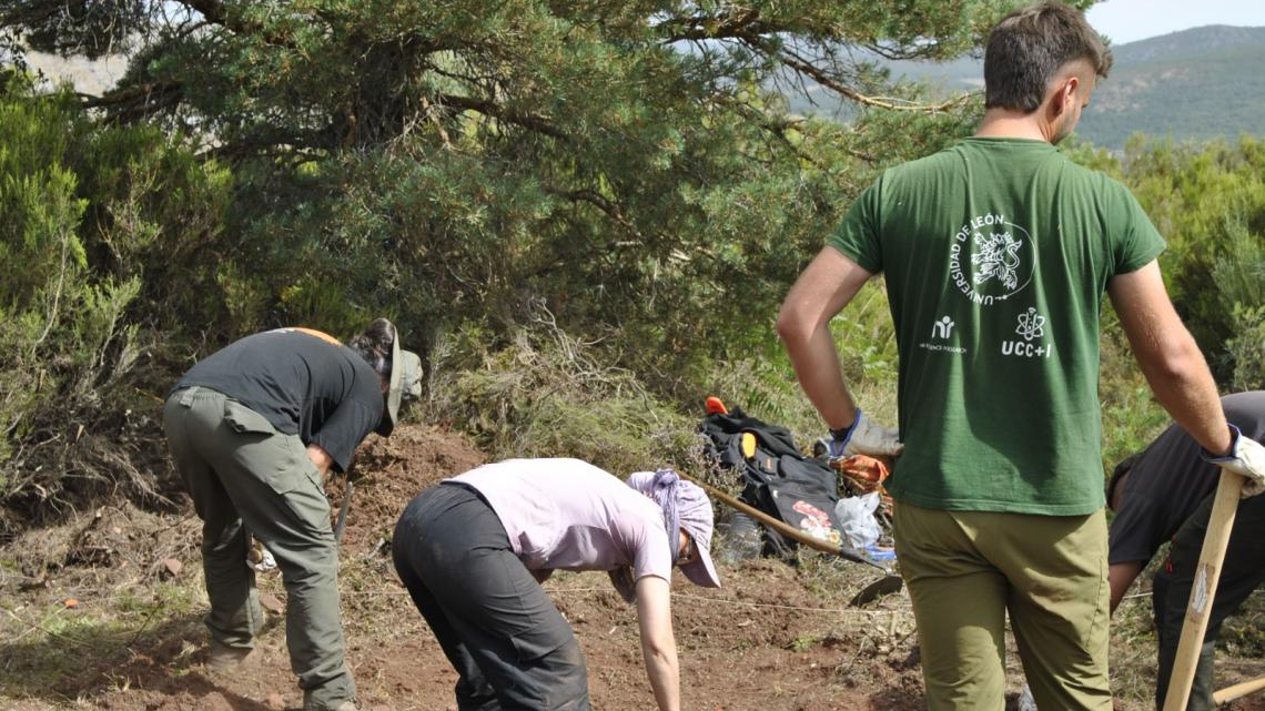 three people work on a wooden archaeological site