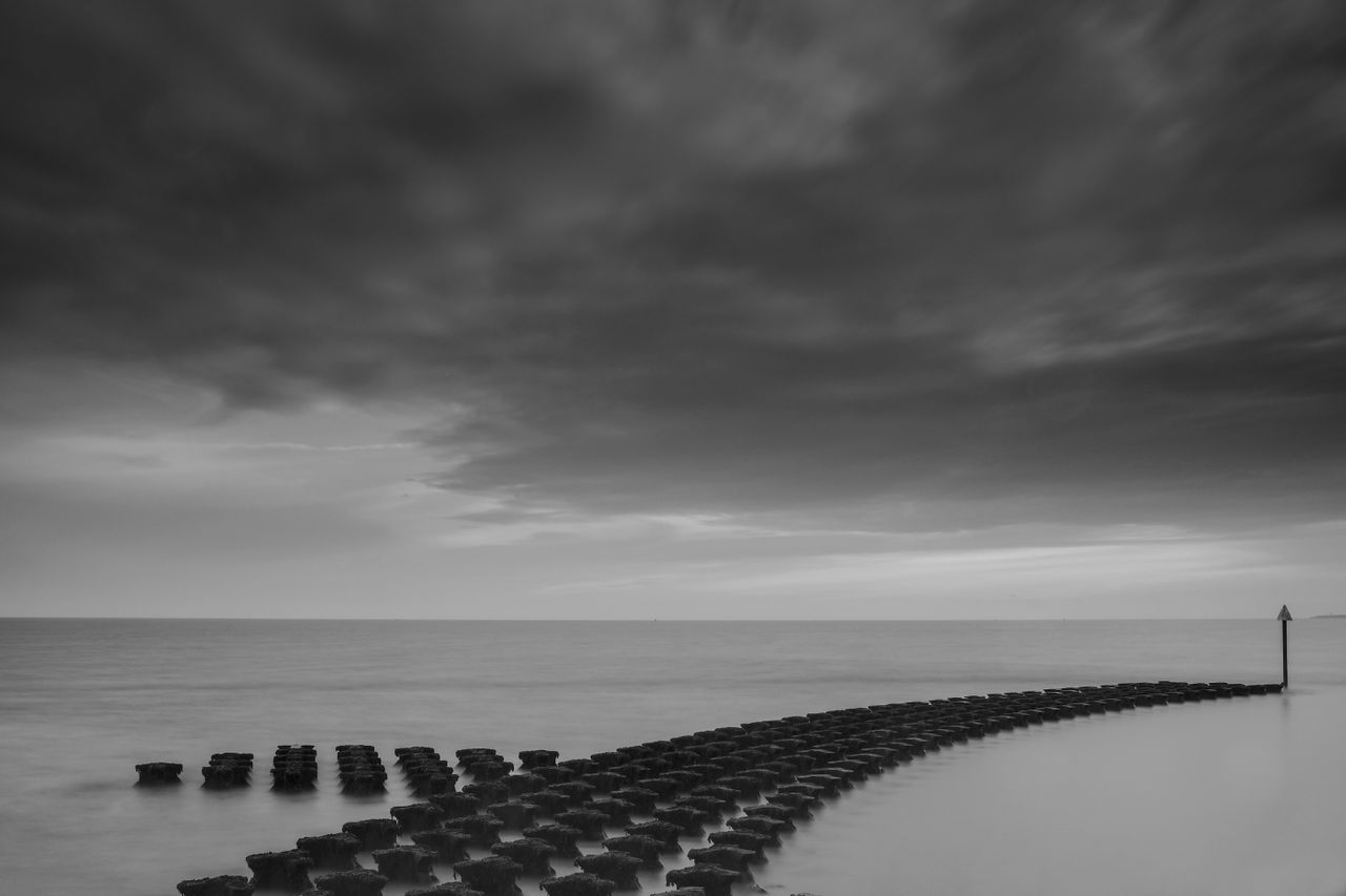 There are a host of mono film simulation modes to choose from too