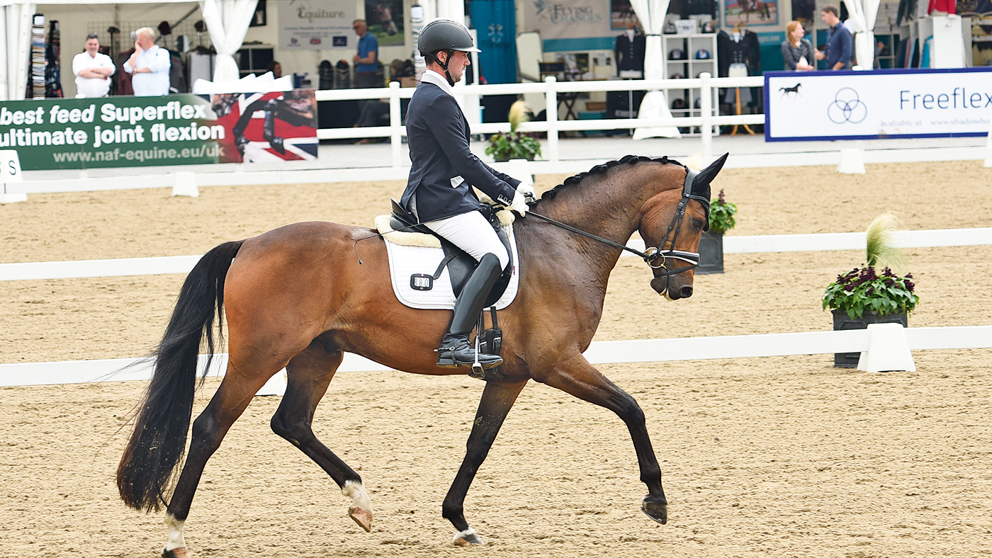 Greg Sims riding Waverley Fellini.