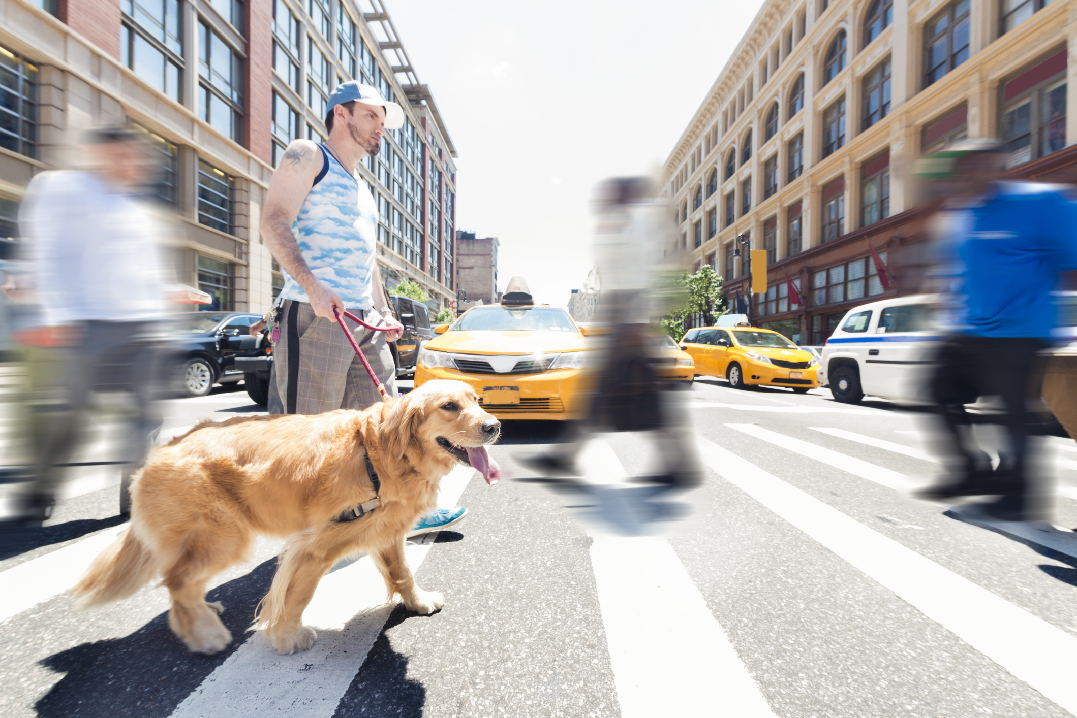 NYC Man Walking Dog in City Outdoors Summer