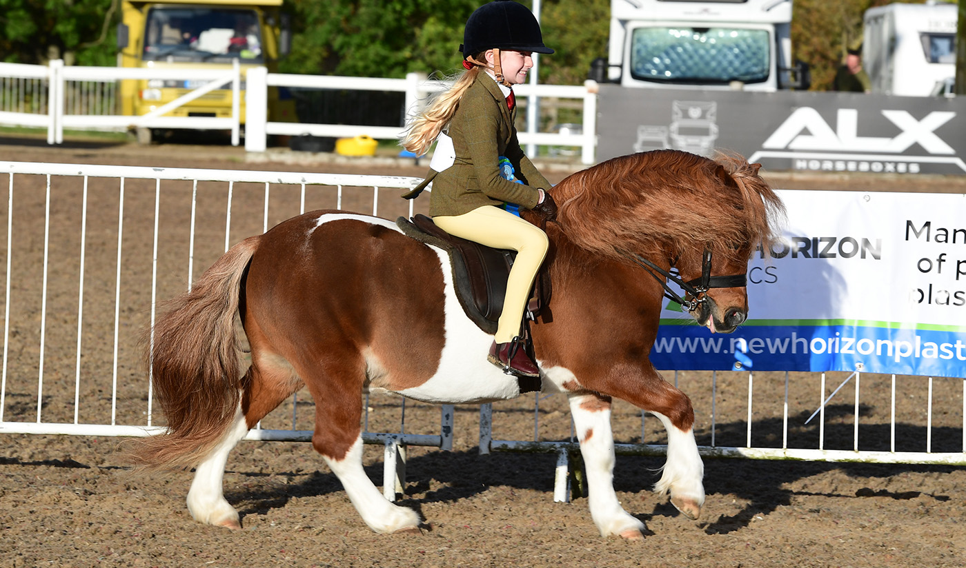 Heritage Show 15.10.22Cl. 77 D/E/S No. ?26 Shilstone Rocks River Dart