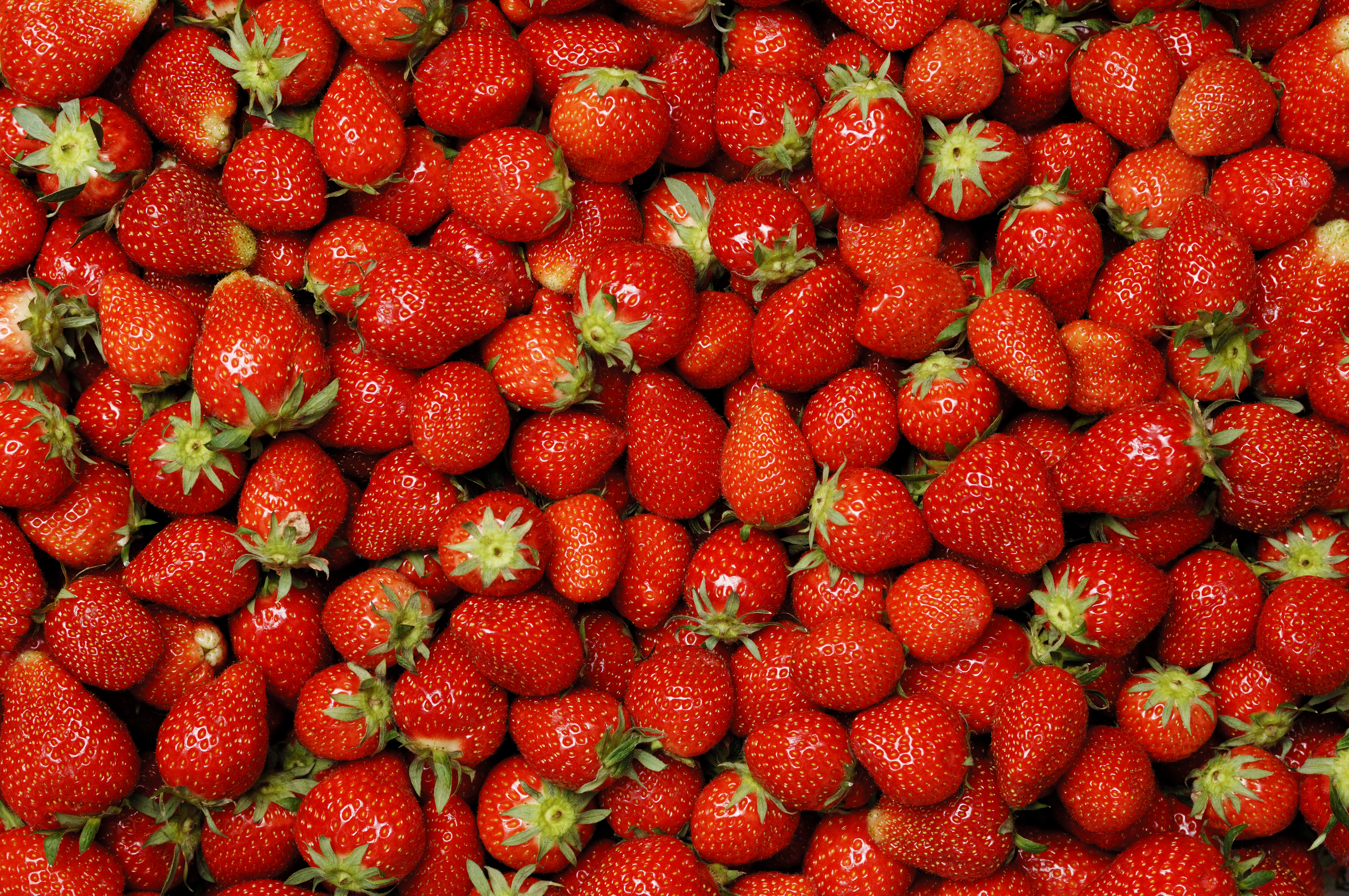 Aerial shot of a pile of strawberries