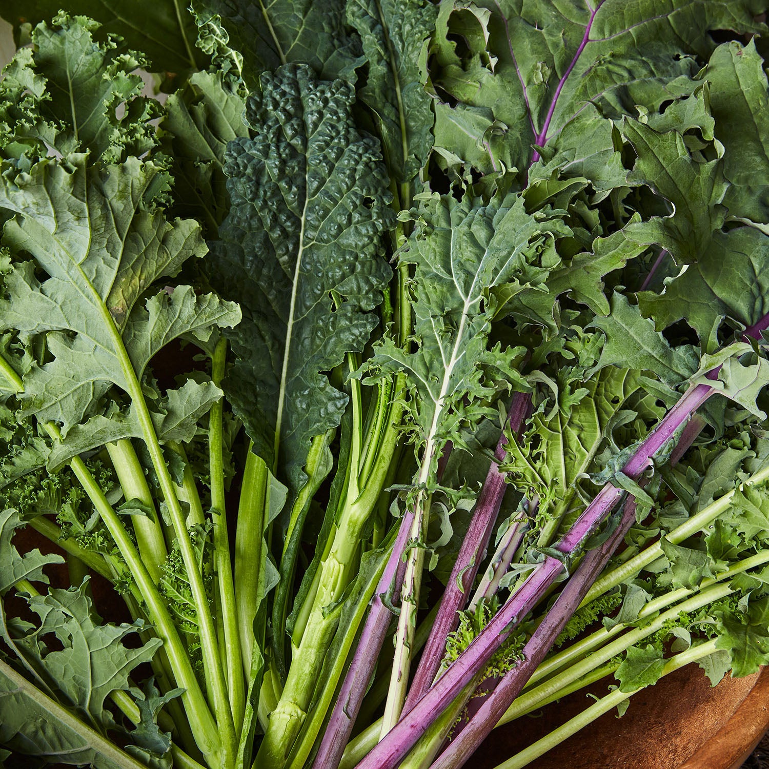 Blend Kale - 100 Seeds