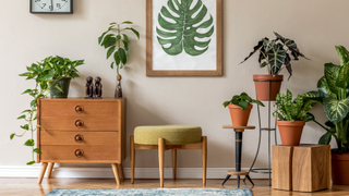 Living room with plants and artwork