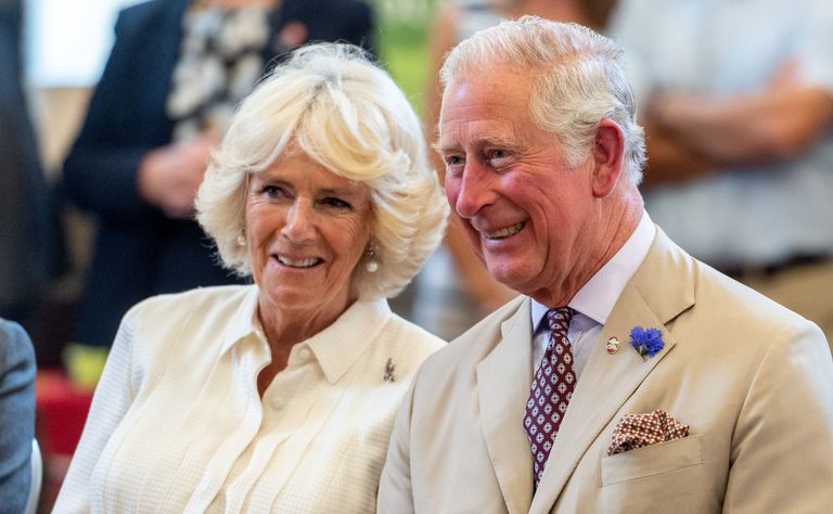 Prince Charles and Duchess Camilla wish baby Archie a happy birthday ...