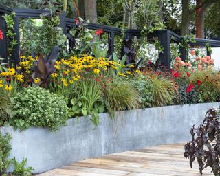Fall planter ideas with long metal planter filled with grasses, red and pink dahlias and yellow rudbeckias at Chelsea Flower Show 2021
