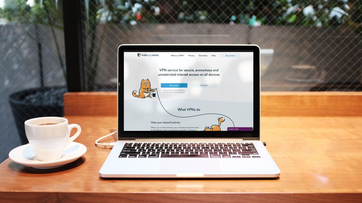 HideMy.name VPN Review | TechRadar