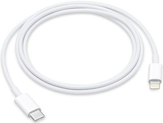 Apple Lightning to USB-C cable