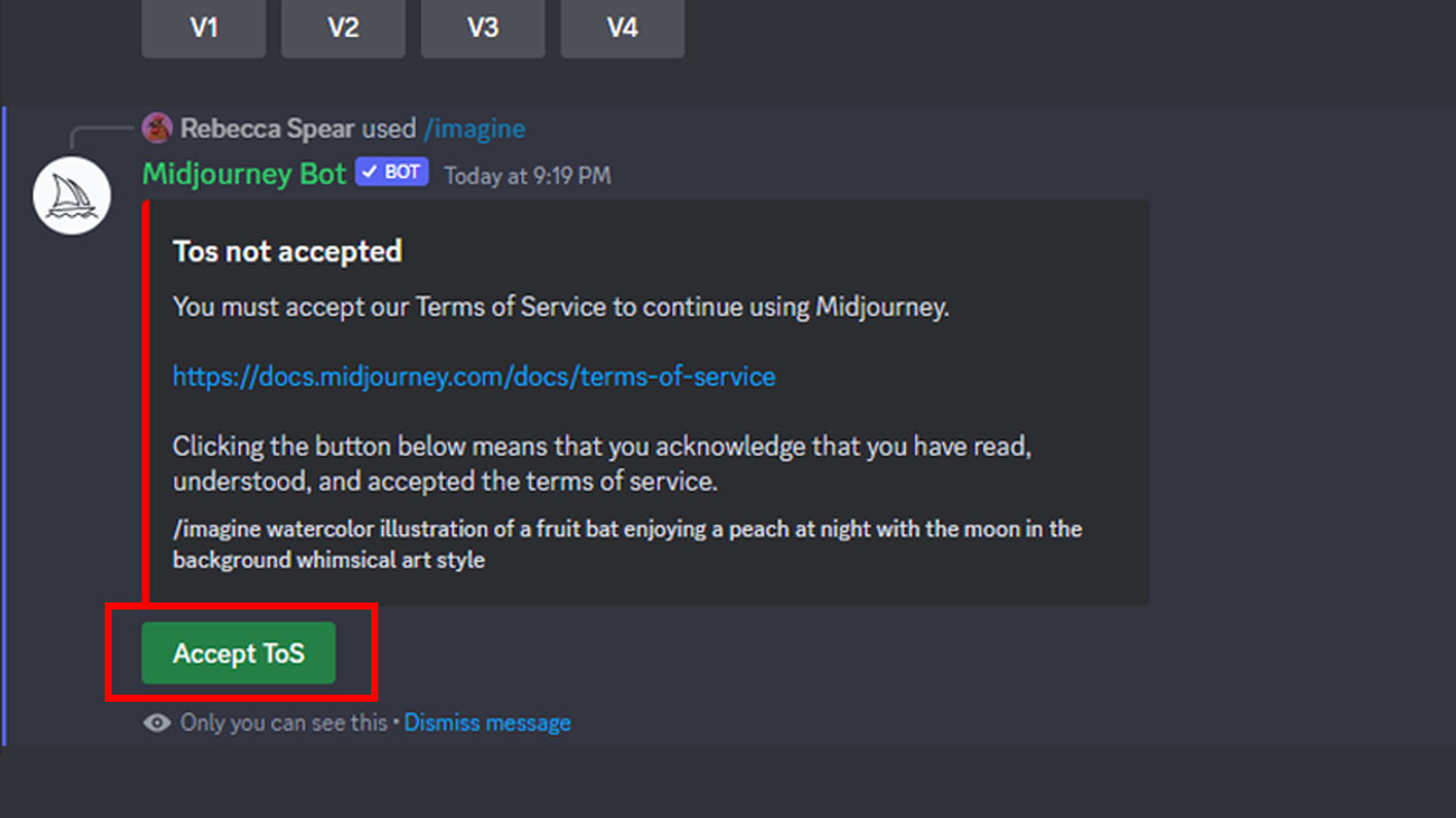 Midjourney: Accept Terms of Service.