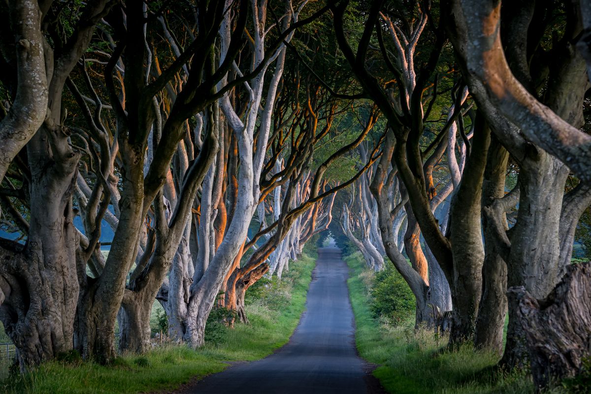 GuruShots - Vivid Landscapes March 2026