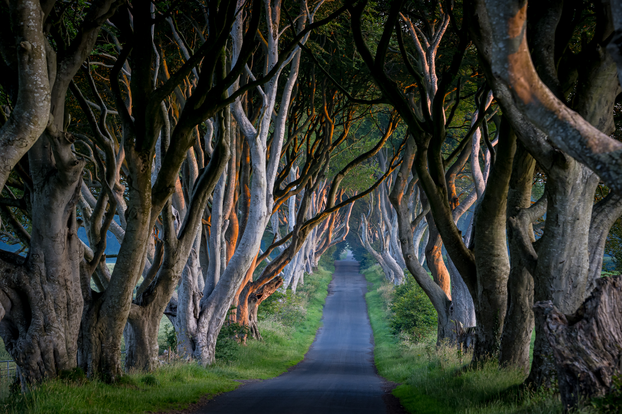 GuruShots - Vivid Landscapes March 2026