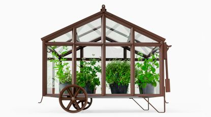 Small iron greenhouse with a wheel and plants in it, ‘Bramber’ from Revised