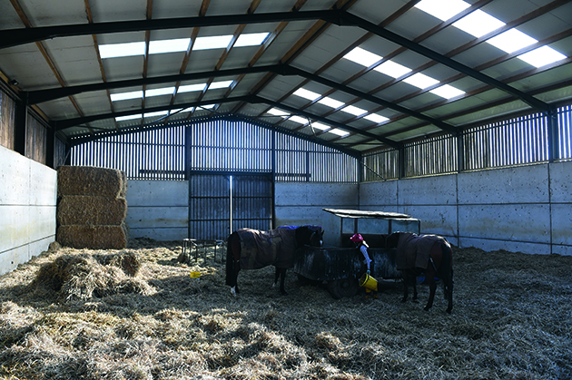 Jacqueline-Coward-barn.jpg