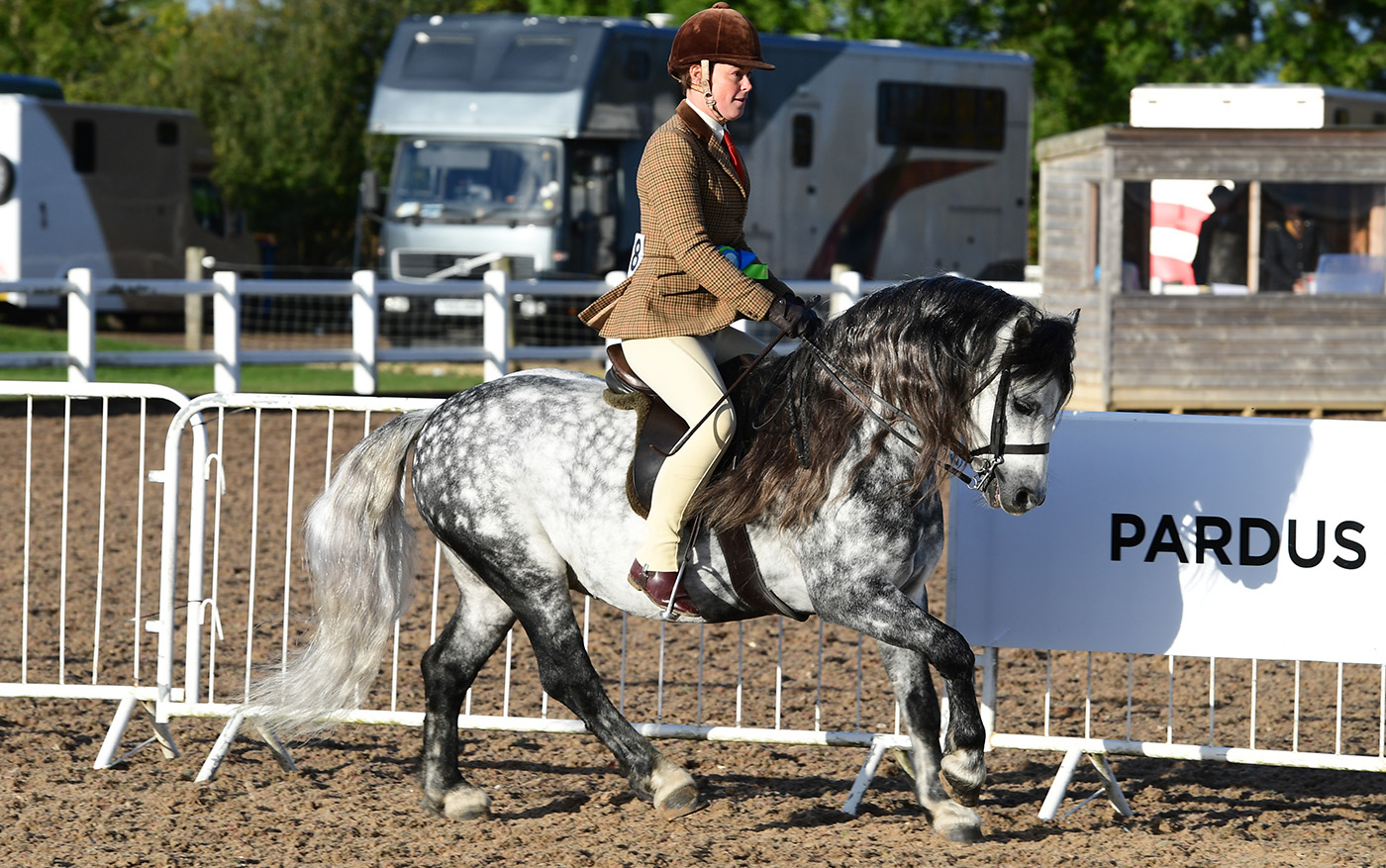 Heritage Show 15.10.22Cl. 77 D/E/S1st No. 168 Shilstone Rocks River Dart