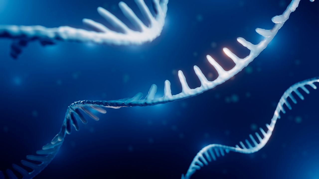 Aging doesn't look the same for everyone at the molecular level — it's 'individualized and context-dependent'