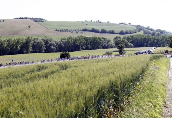 The peloton makes it through the beautiful Italian countryside