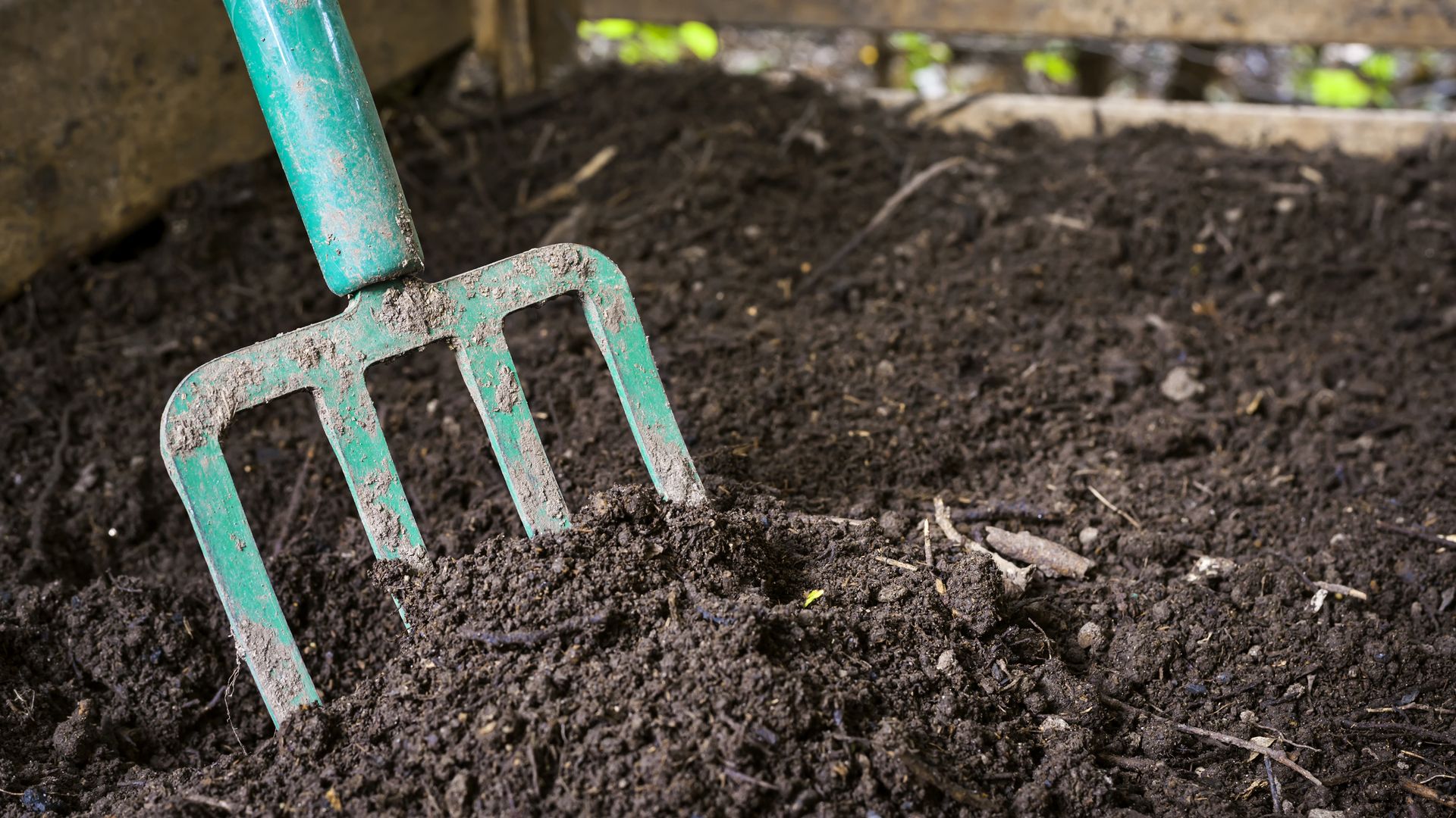 use-coffee-grounds-in-garden-fertilizer-for-spectacular-soil-garden