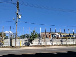 Google Pixel daylight sample