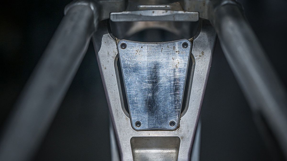 Mondraker downhill bike details