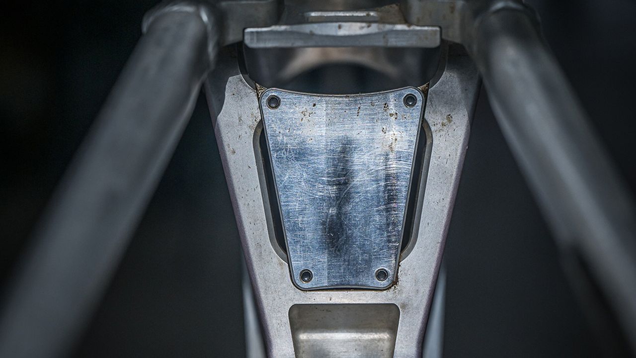 Mondraker downhill bike details