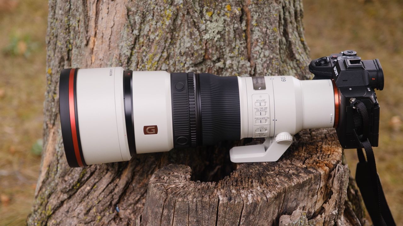 The Sony FE 600mm f/6.3 GM OSS photographed outdoors