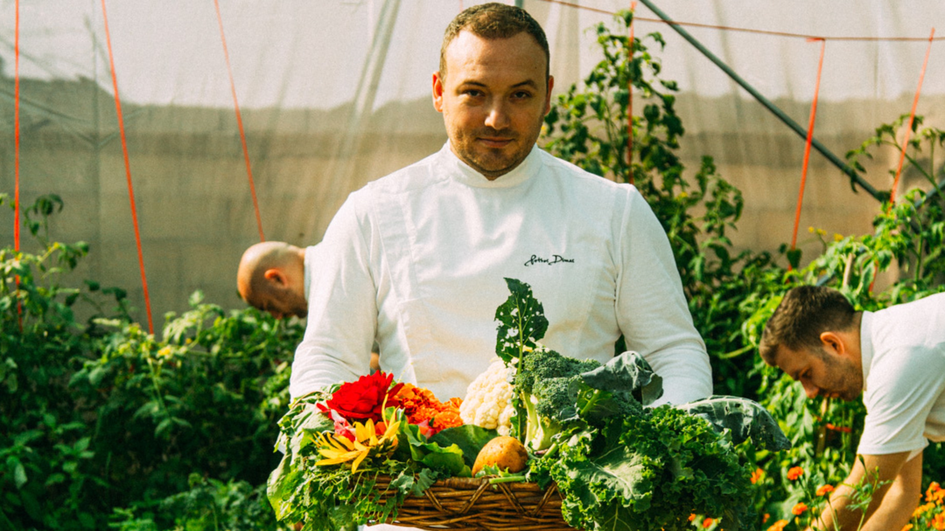 A young chef holds a straw basket filled with raw vegetables as two more chefs pick up vegetables in a farm vegetable garden.
