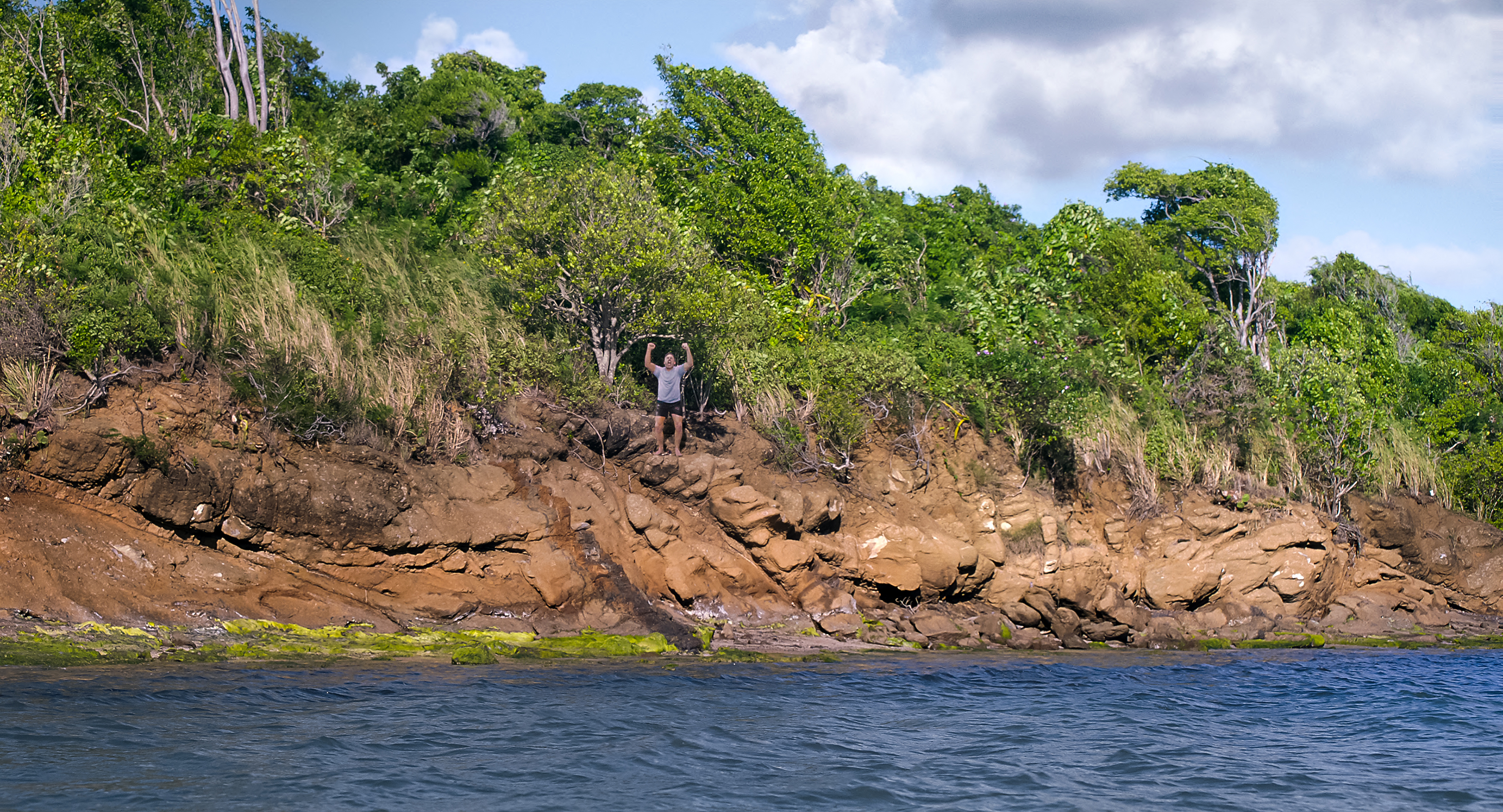A man (Steve Carell as Nick) stands on a small beachfront cliff lined with trees, in Episode 103 of The Four Seasons.