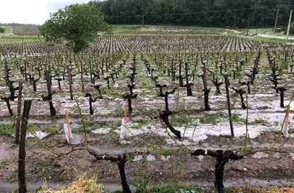 bordeaux hail,