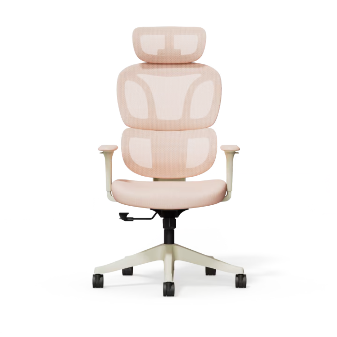 BS5 Colorful Ergonomic Chair
