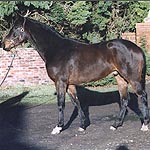 07FD71EF-733A-4AC0-AB9B-B6FDADF9B7EB.jpg