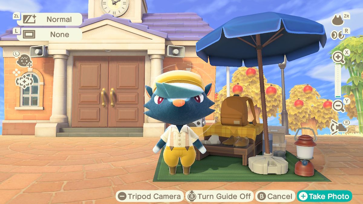 Animal Crossing: New Horizons — How to unlock and use the Pro Camera ...
