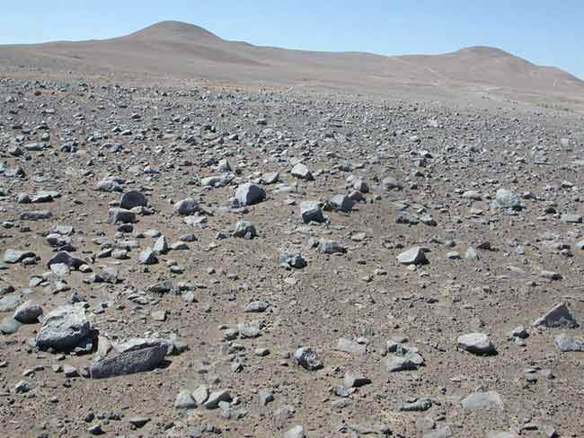 Martian Life Could Have Evaded Detection by Viking Landers