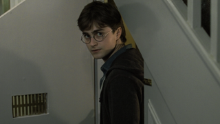 Daniel Radcliffe as Harry Potter