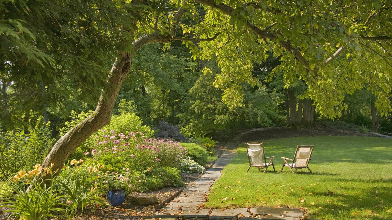 Best trees for privacy and screening - Backyard with mature trees and relaxing seating area on the lawn