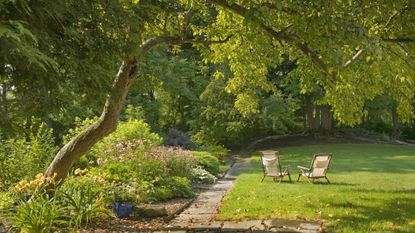 Best trees for privacy and screening - Backyard with mature trees and relaxing seating area on the lawn