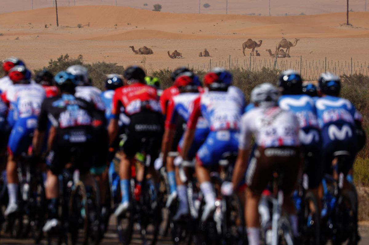 The view from the UAE Tour peloton